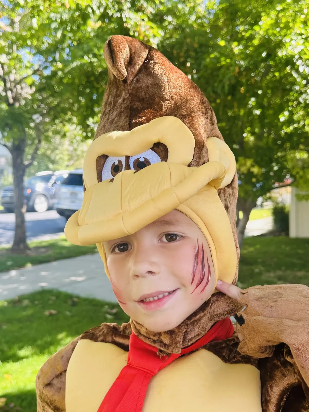Colory Faces face painting portfolio photo 24.